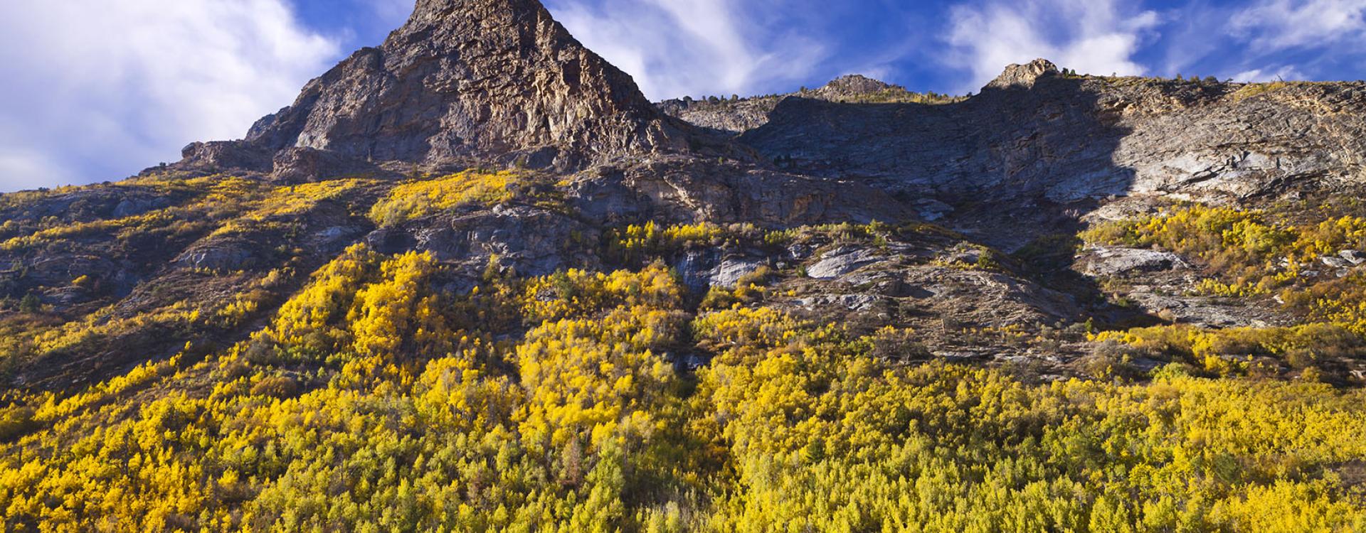 Nevada landscape