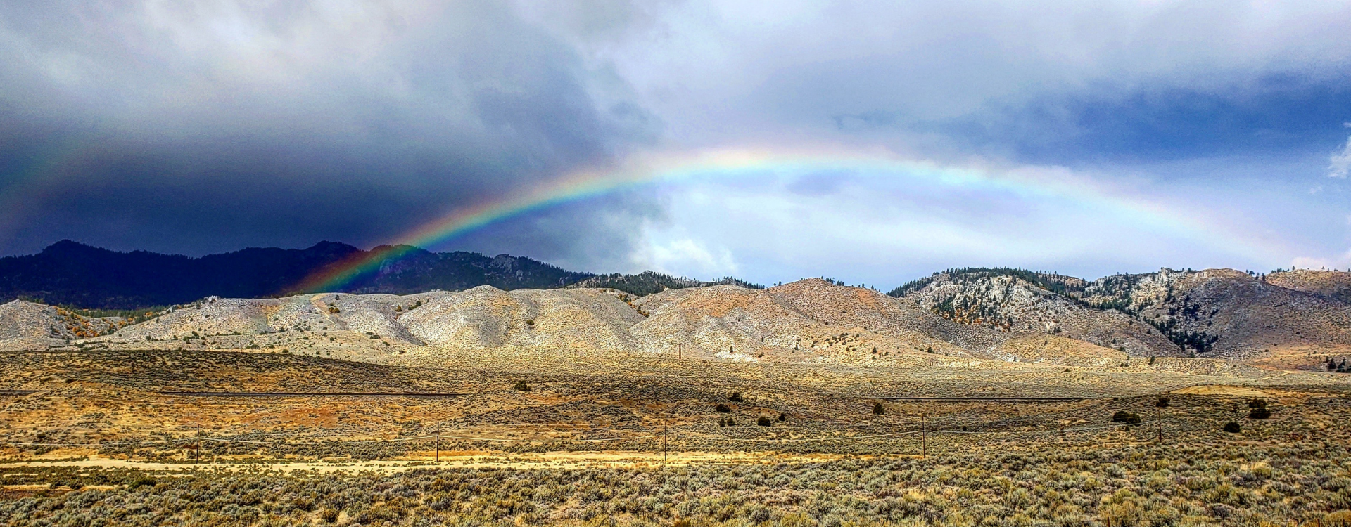 Nevada Desert